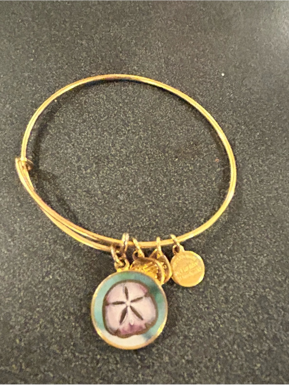 Alex and Ani Gold Tone Bracelet with Turquoise Sand Dollar Charm